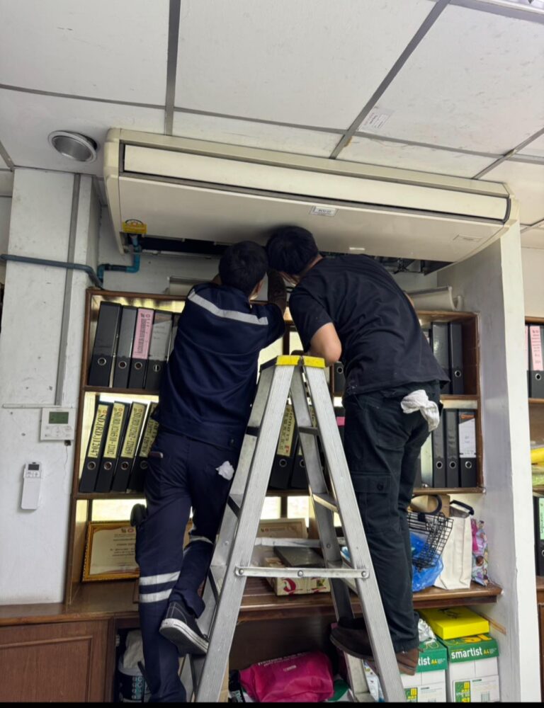 492344138 122225126366209358 8598093585082787374 n